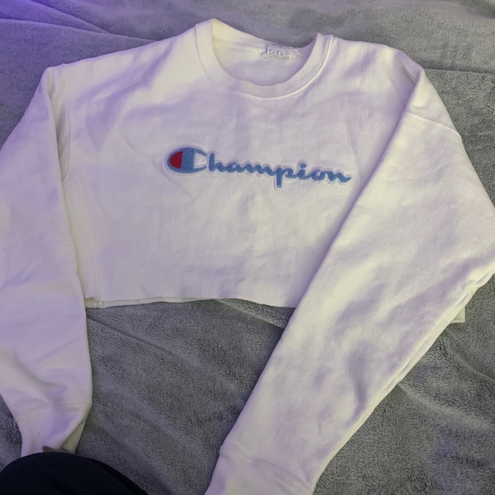 cropped sweatshirt
